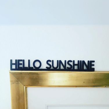 HELLO SUNSHINE Little Hippo Door Topper Sign